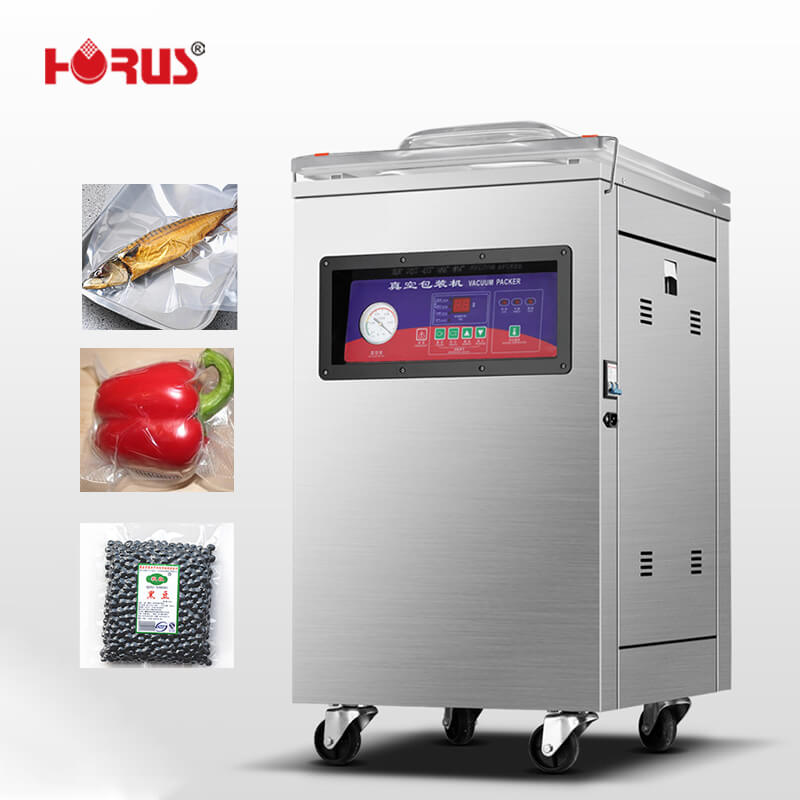 Dz500 Mesin Pengemas Vacuum Sealer Satu Pintu